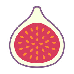 Common fig fruit cross section with seeds flat vector color icon for food apps and websites