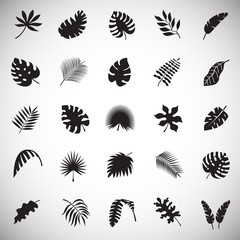 Fototapeta na wymiar Tropic leafs icons set on white background for graphic and web design, Modern simple vector sign. Internet concept. Trendy symbol for website design web button or mobile app