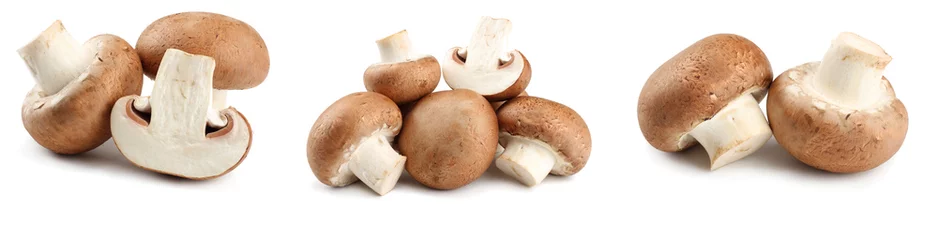 Photo sur Plexiglas Légumes frais Champignons champignon frais isolés sur fond blanc