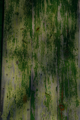 old green plank wall