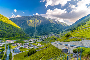 Wineyard in Swiss Alp mountains, Martigny-Combe, Martigny, Walli