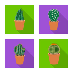 Vector design of cactus and pot symbol. Collection of cactus and cacti stock vector illustration.