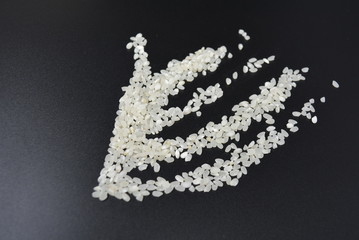 Beautiful polished loose white round rice on a black background, rice grains