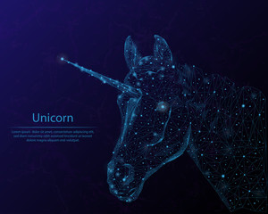 Abstract image unicorn in the form of constellations and starry sky, consisting of points and lines.
