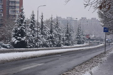 Asphalt road with a snow. Snow on the city streets
