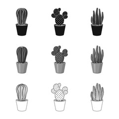 Isolated object of cactus and pot sign. Collection of cactus and cacti vector icon for stock.