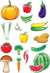 vegetables