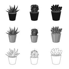 Vector design of cactus and pot sign. Set of cactus and cacti stock vector illustration.