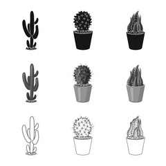 Vector design of cactus and pot symbol. Set of cactus and cacti stock vector illustration.