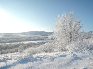 Magical winter landscape. Valley with snow-covered forest illuminated by the bright sun.