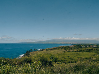 Hawaiian nature with the sea in the background