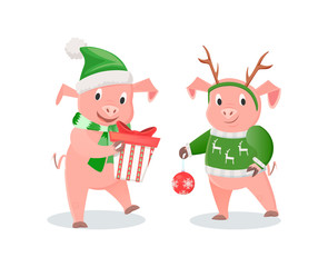 Obraz na płótnie Canvas New Year Piglets in Knitwear, Gift Box and Ball