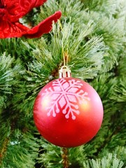 Fototapeta na wymiar Tree christmas decoration christmas ornament Hanging Christmas Red Celebration christma