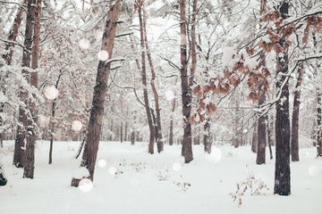 scenic view of winter forest and blurred falling snowflakes