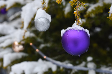 Christmas decoration on fir tree covered with snow. Christmas ornaments on branch outside