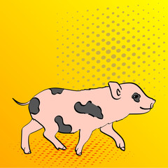 Pop Art Background Pig Pet Mini Pig. Raster of a vintage, retro style comic strip