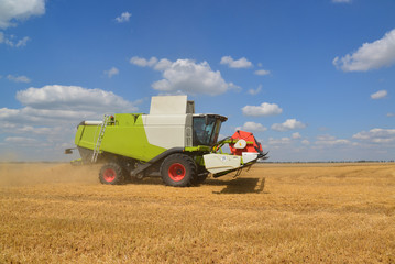 Beautiful harvester working in the field in Russia