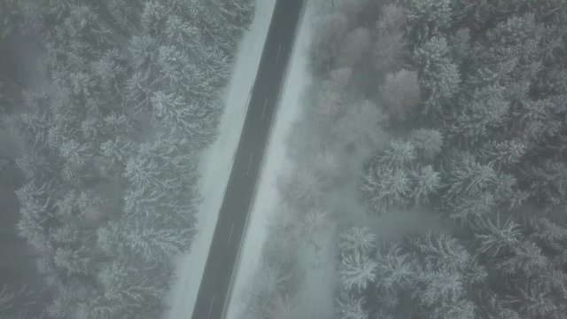 snowy white trees from above