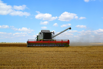 Beautiful harvester working in the field in Russia