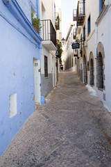 Typical town with its houses and streets