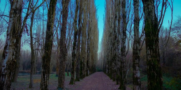 รูปภาพViale เลือกดูภาพถ่ายสต็อก เวกเตอร์ และวิดีโอ5,300 Adobe Stock