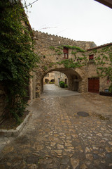 Obraz premium Typical town with its houses and streets