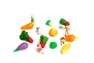 Miniature people : Gardeners Harvesting a vegetables on white background , Agriculture concept
