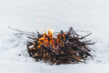 Campfire burns in the snow in the woods, on a background of snow covered trees. fire burning in cold winter. Snow, forest. Tourism. Flames, backpack and a thermos with coffee, tea