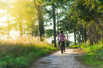 Fototapeta premium Women are cycling in the woods. Phukradung, Phu Kradueng National Park, Loei province, Thailand.