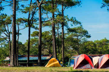 Campsite in the morning at Phukradueng National Park,Loei.