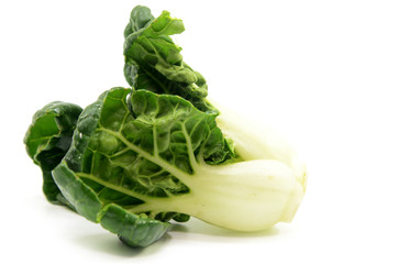 Milk cabbage bok choy