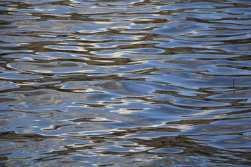 Water and our world reflected in water