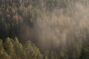 Sonnenaufgang in der Sächsischen Schweiz