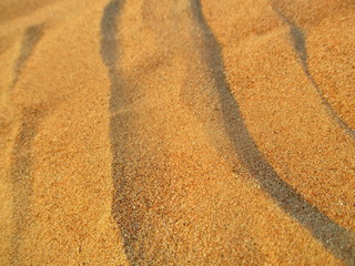 Desert Golden Sand Landscape