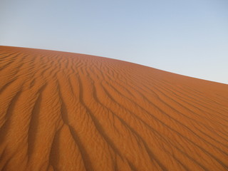 Desert Golden Sand Landscape