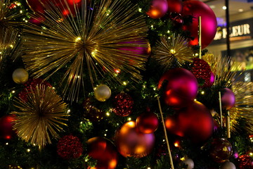 Obraz na płótnie Canvas 銀座の街のクリスマスツリー
