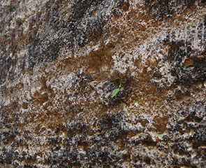 Ground Background image. Dark ground. 