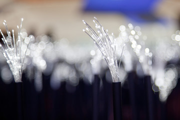 fiber optic