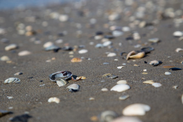 Fototapeta na wymiar pebbles on the beach