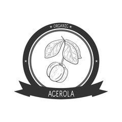 Acerola. Fruit, leaves, branch. Sketch. Monophonic. Logo, emblem.