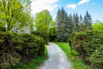 Fototapeta na wymiar alley in the park, Tarnobrzeg, Poland