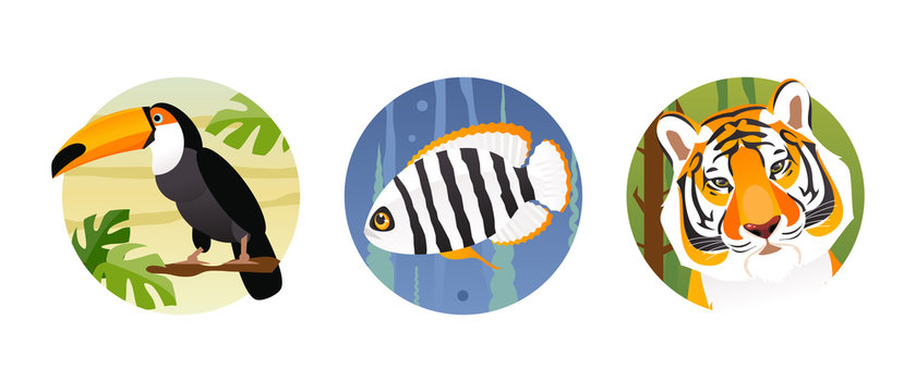 Animal vector set