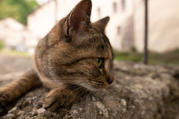 Salzburg, Österreich