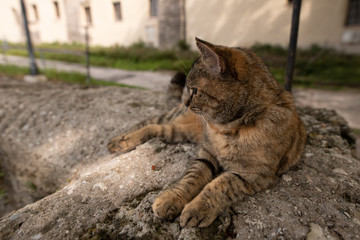 Salzburg, Österreich