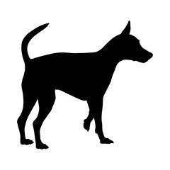 Miniature Pinscher silhouette