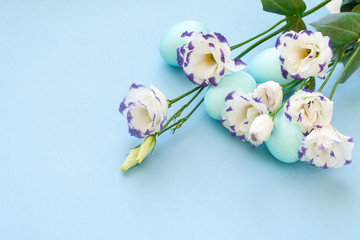 Easter eggs and spring flowers narcissi on blue background