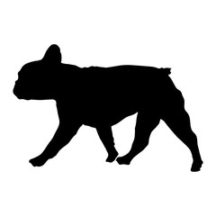 French Bulldog. Silhouette