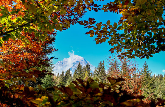 HERBSTBILDER