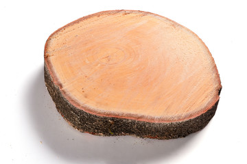 big tree truck slices cut out on white background