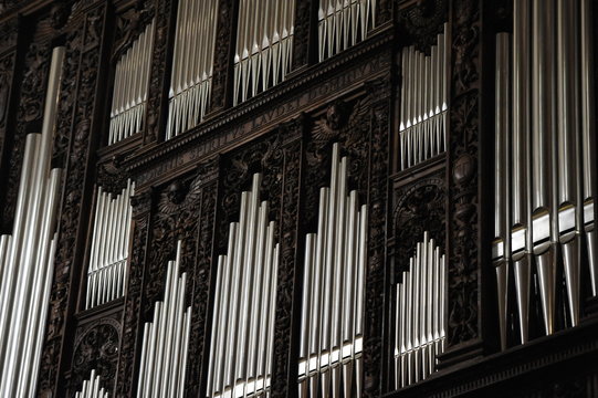 organo catedral